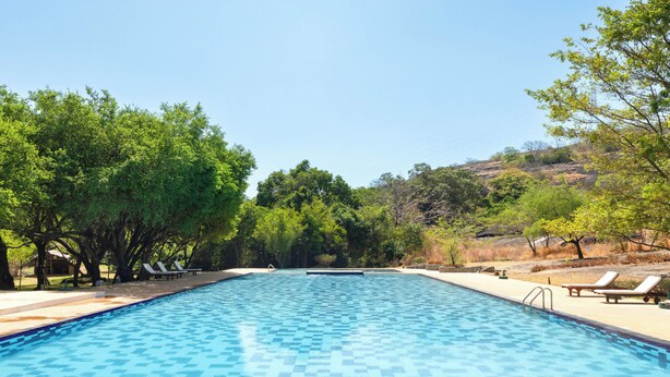 Uma piscina com padrão quadriculado, cercada por árvores e cadeiras de descanso.