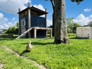 Eine rustikale Holzkonstruktion mit einer Rampe, einem Baum und einem eingezäunten Bereich.