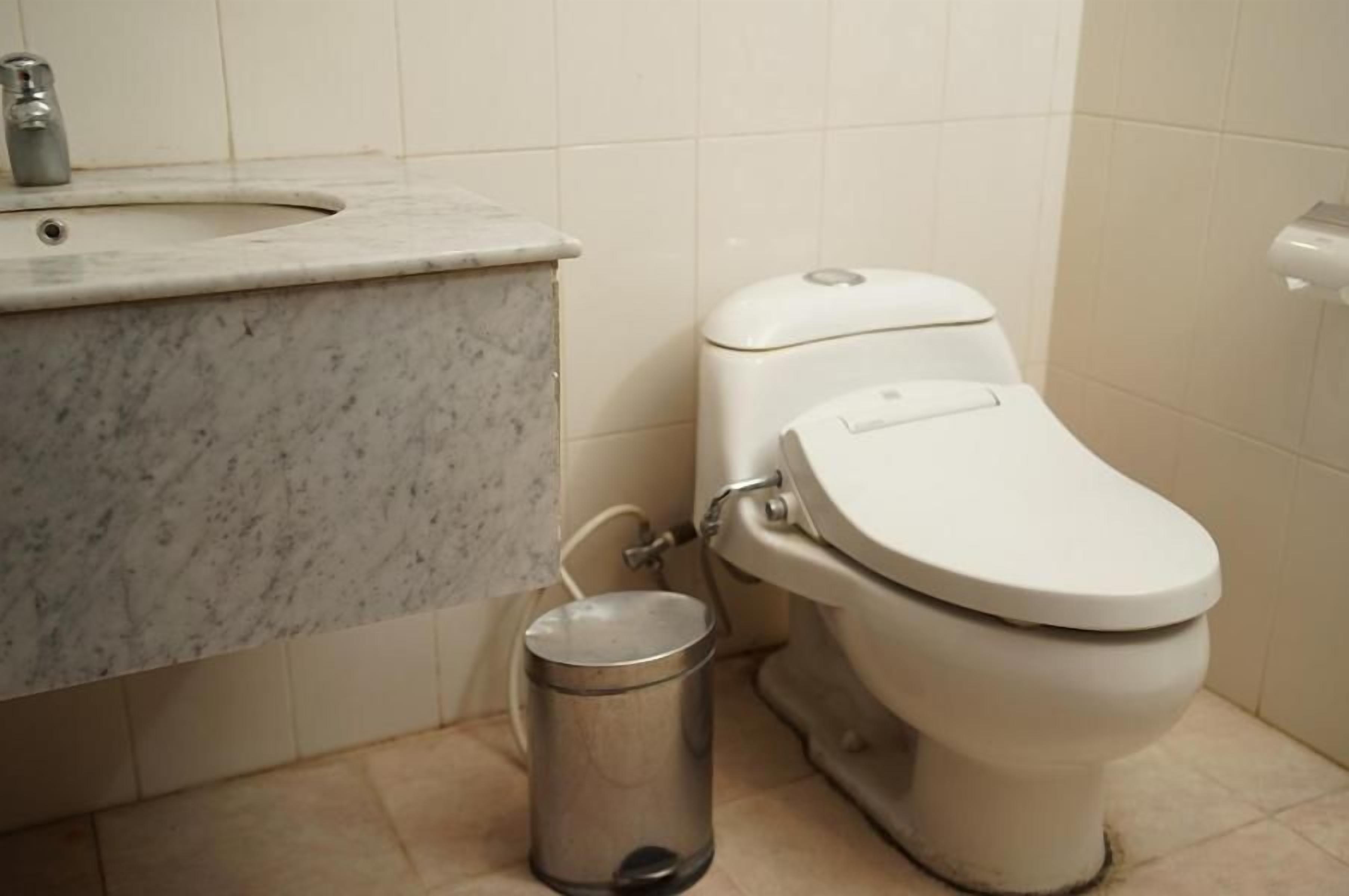 Une salle de bain avec un lavabo en marbre, des toilettes et une poubelle.