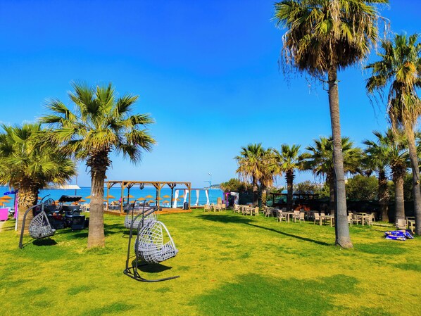 A grassy area with palm trees, outdoor seating, and a view of the sea.