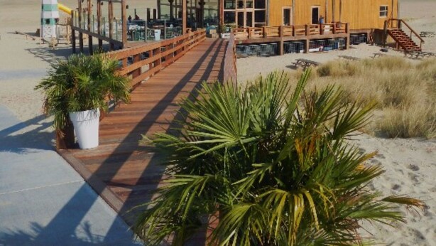 Ein Gebäude direkt am Strand mit einer Holzterrasse, die zum Eingang führt, einem Rettungsschwimmturm und einem Sandstrand.