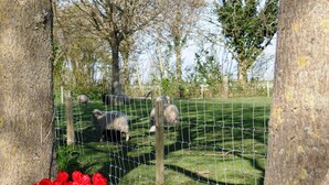 Un área cercada con árboles y un campo cubierto de césped.