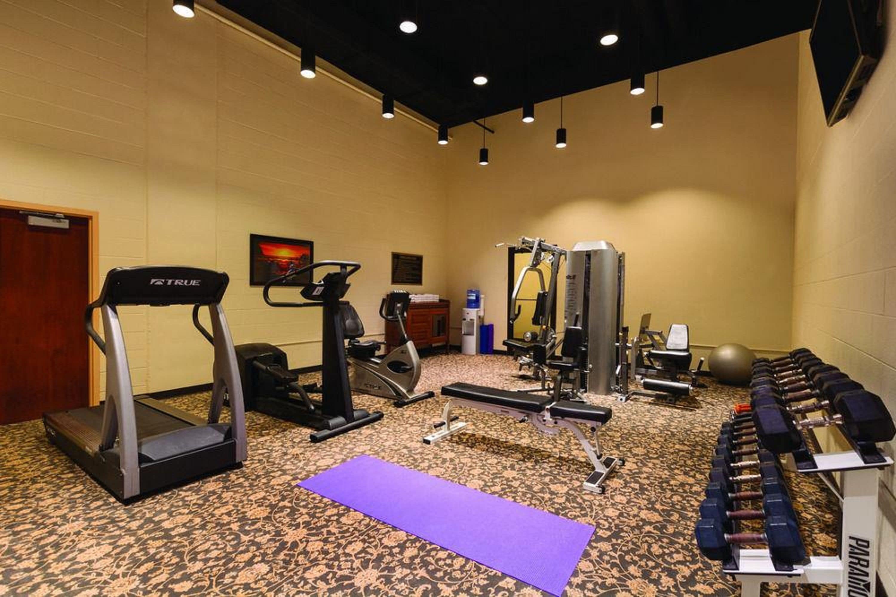 A gym with treadmills, weight machines, and dumbbells.