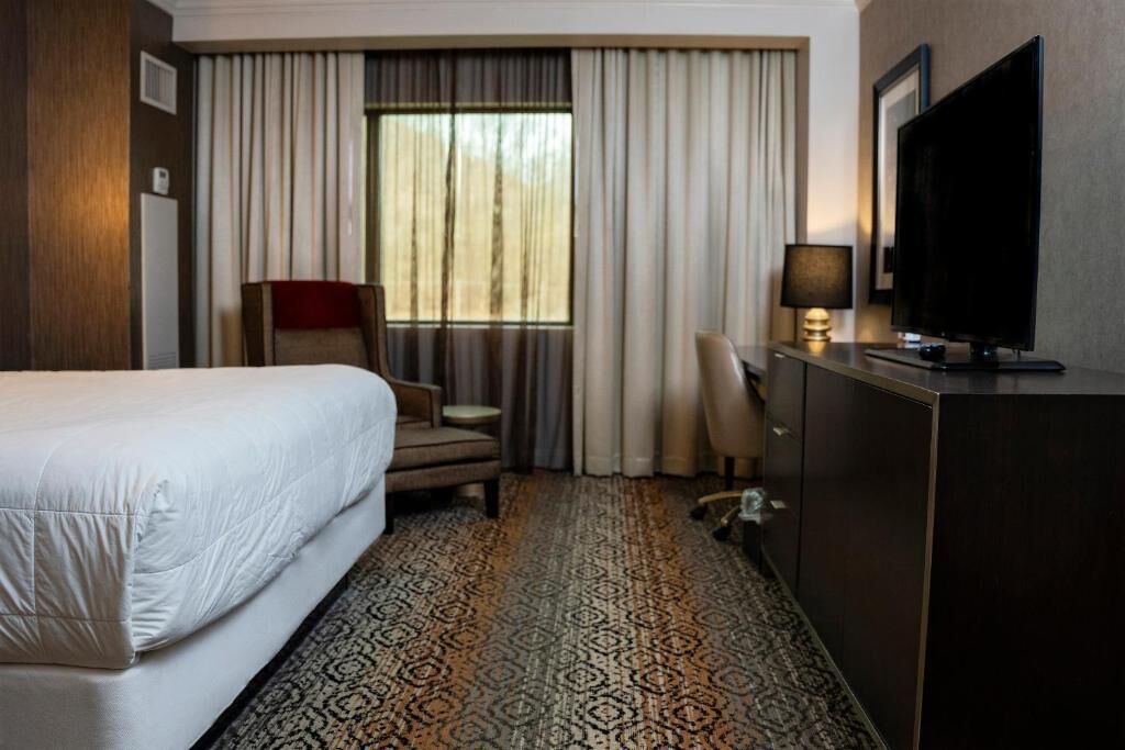 A hotel room with a bed, a desk, a chair, a television, and a patterned carpet.