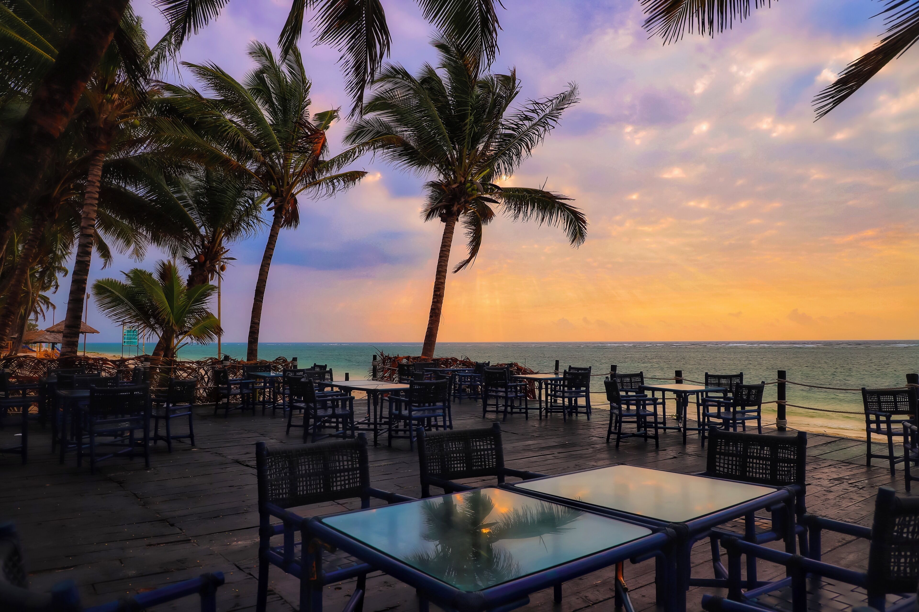 An outdoor seating area with tables and chairs, palm trees, and a view of the ocean.