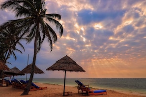 A beach with palm trees, thatched umbrellas, and lounge chairs.