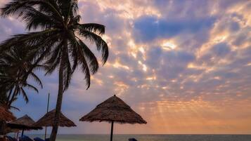 A beach with palm trees, thatched umbrellas, and lounge chairs.