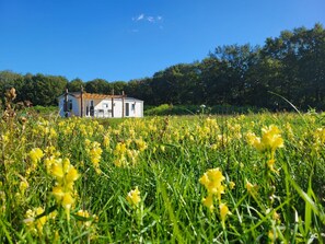 Una casa bianca con veranda, circondata da un campo di fiori gialli.