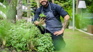 A person in a garden holding a plant.