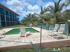 A pool area with lounge chairs, a building with large windows, and palm trees.