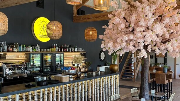 Angolo bar con bancone, posti a sedere e una pianta decorativa.