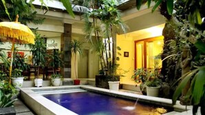 Une piscine intérieure entourée de plantes en pot et bordée d’un mur jaune.