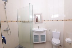 A bathroom with a glass shower enclosure, a sink, a toilet, and a mirror.