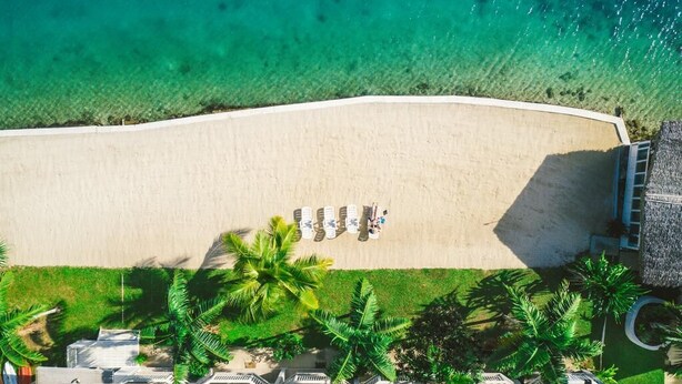 Vista aérea de una playa con una fila de tumbonas y palmeras.