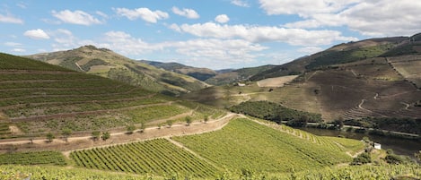 Alberca
