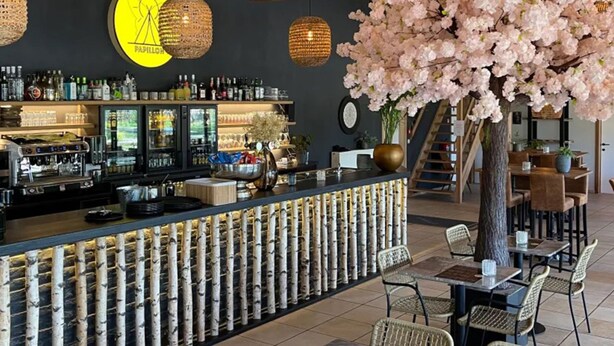 Et barområde med disk, siddepladser og et dekorativt træ med lyserøde blomster.