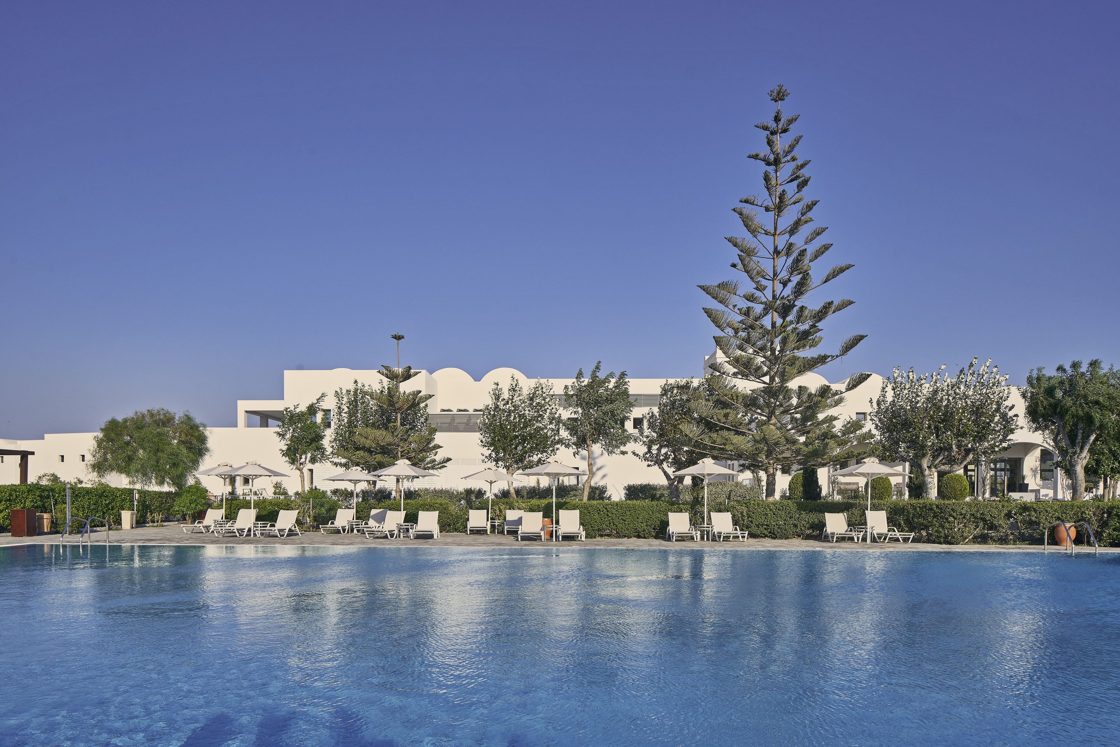 A pool with lounge chairs and umbrellas, surrounded by trees and a building with a modern design.