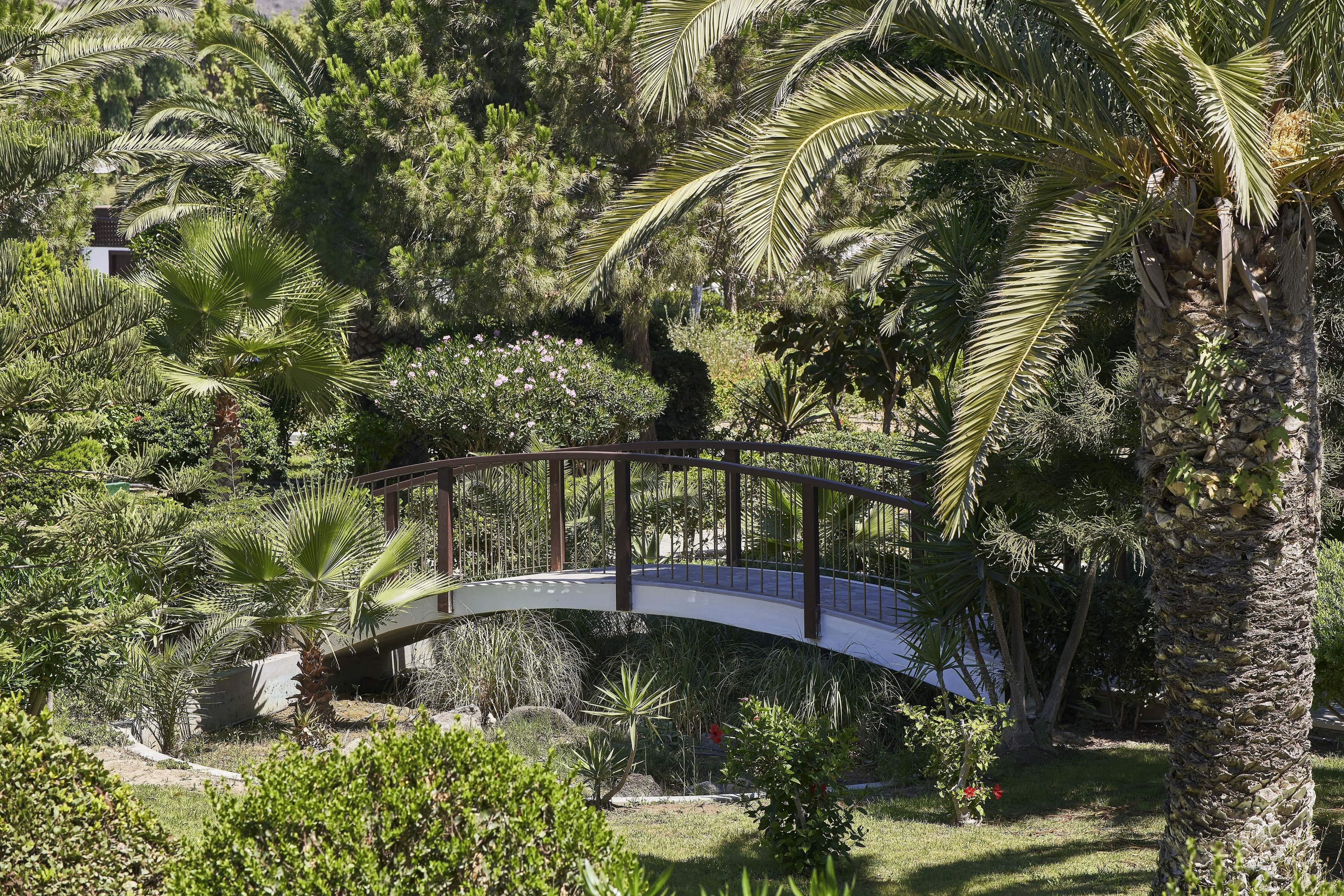Een gebogen brug over een tuin met verschillende planten en een palmboom.