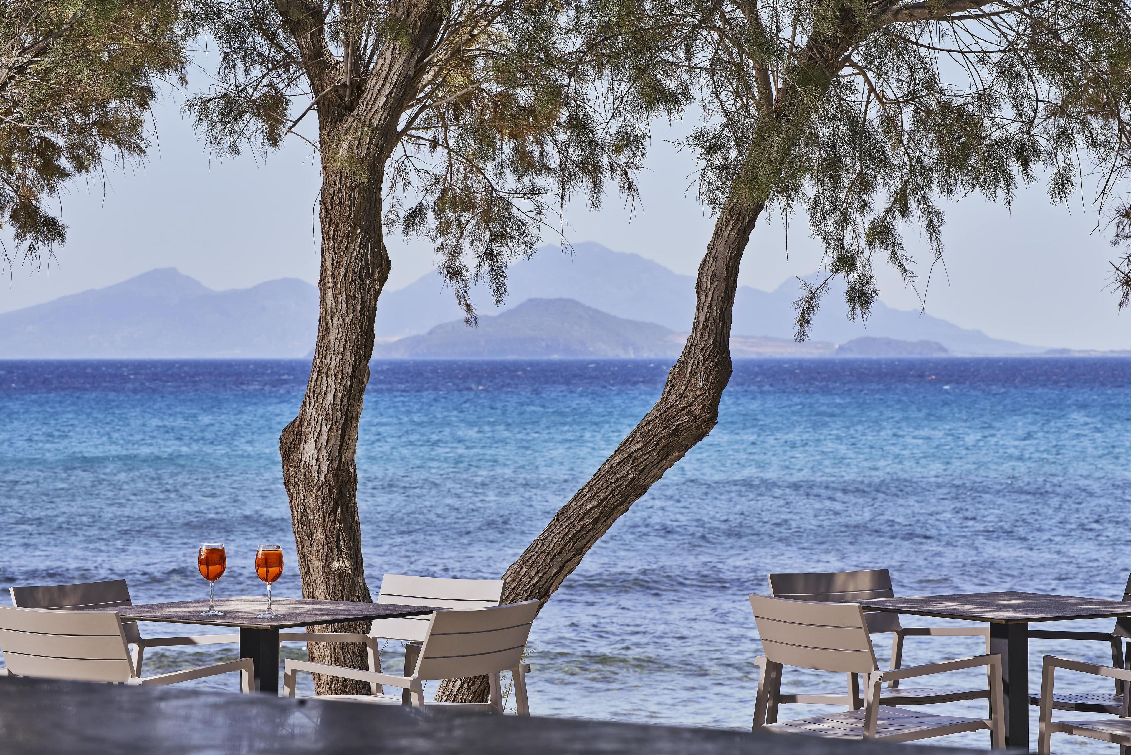 A seaside table with two glasses, a tree, and a view of the sea and mountains.