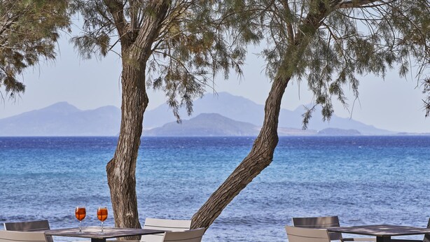 A seaside table with two glasses, a tree, and a view of the sea and mountains. - Atlantica Beach Resort (Kos)