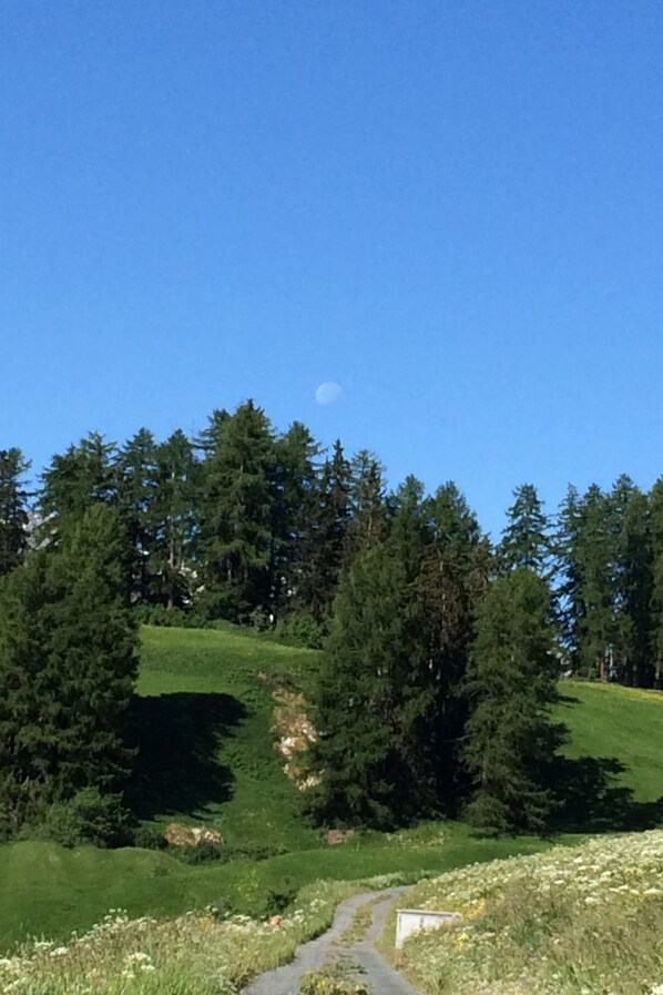 En klar himmel med en smal månskära, en grönskande kulle med träd och en smal stig som slingrar sig genom landskapet.