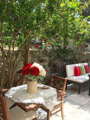 Terraza o patio