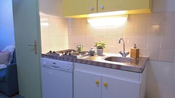 A compact kitchen with a dishwasher, stove, and sink.