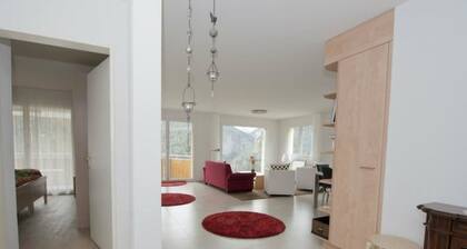 Via da Liuns 790, (Scuol) by Interhome