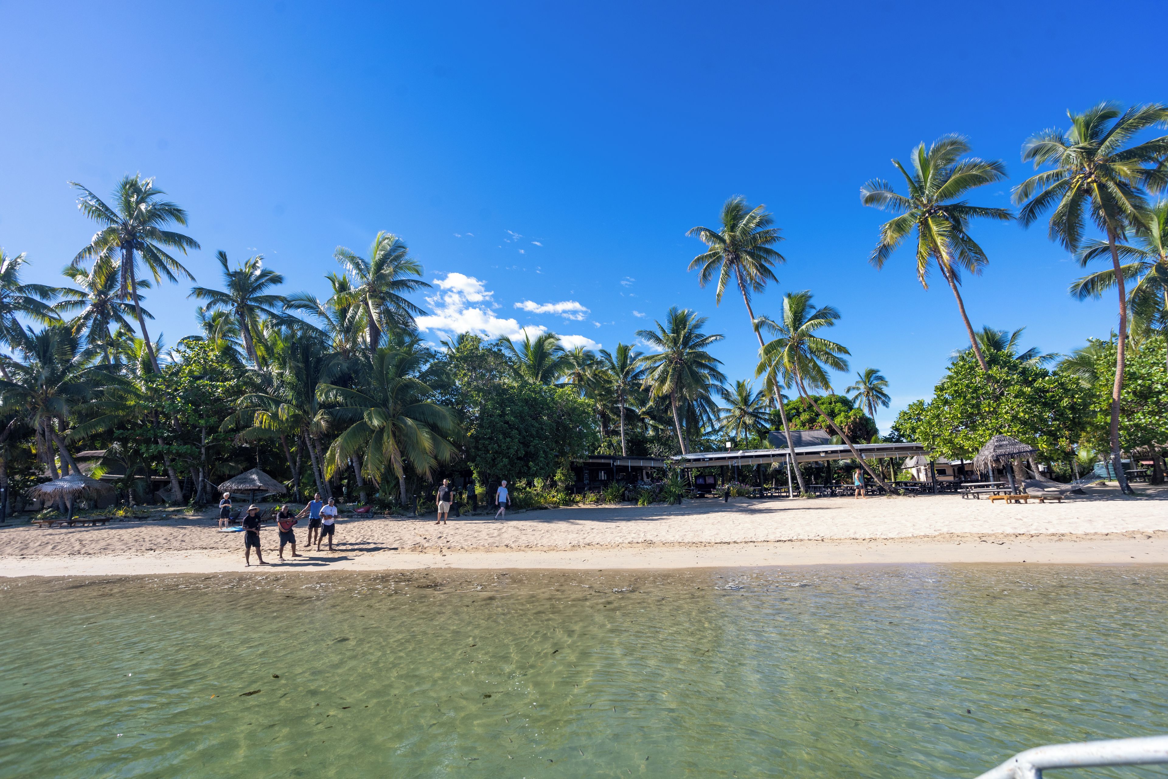 A beach with palm trees, clear water, and a sandy shore.