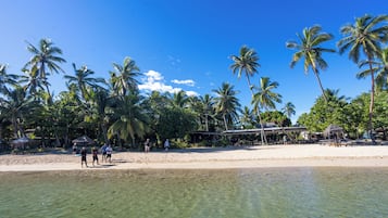 A beach with palm trees, clear water, and a sandy shore.