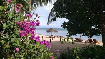 A beach with a thatched umbrella, sun loungers, and a view of the sea.