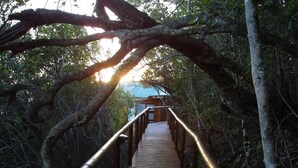 A wooden boardwalk with metal railings, surrounded by dense foliage and trees. - Under the Boardwalk Guest House (Wilderness)