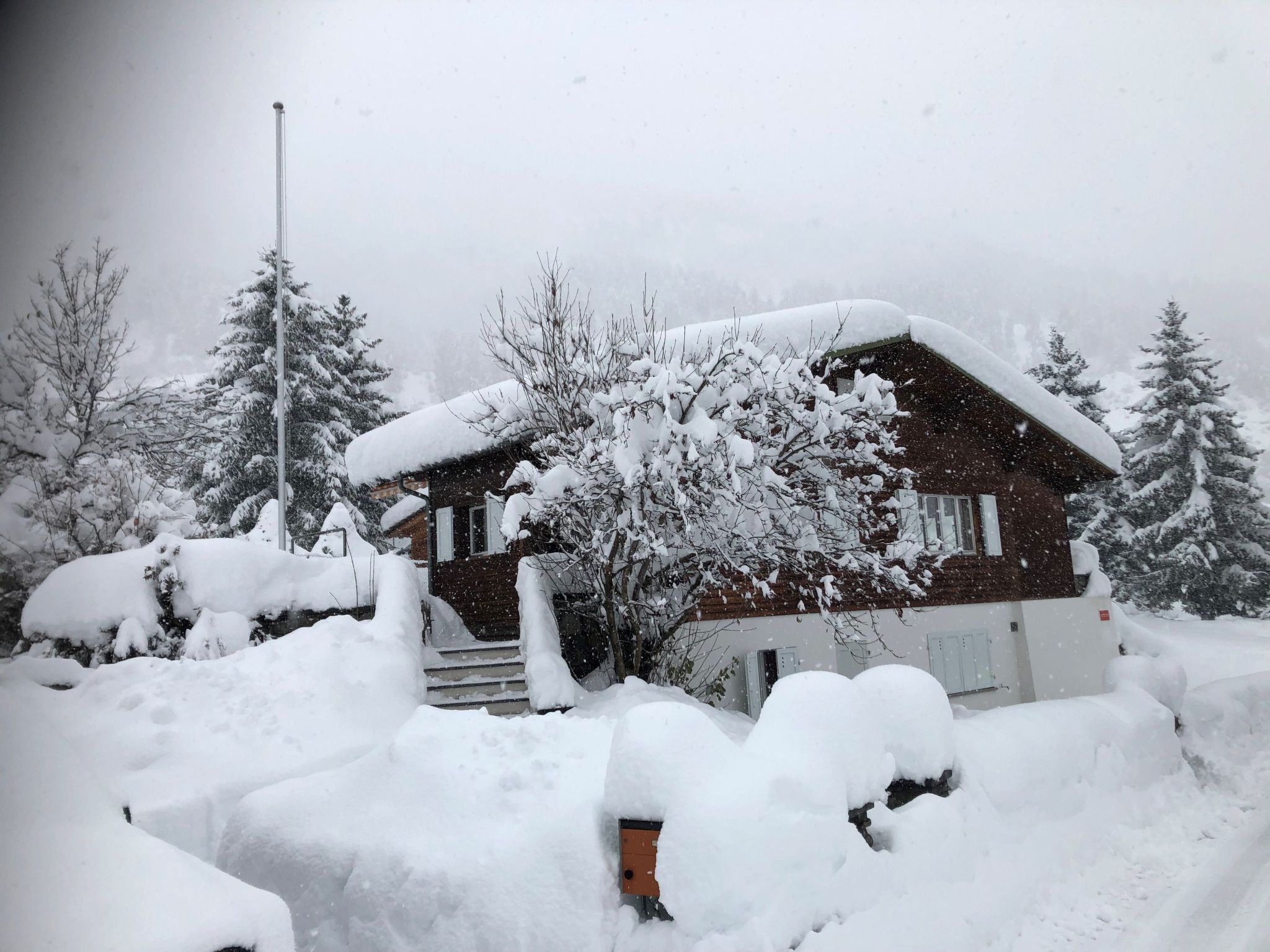 Een houten blokhut met een met sneeuw bedekte dak, omgeven door bomen en een besneeerd landschap.