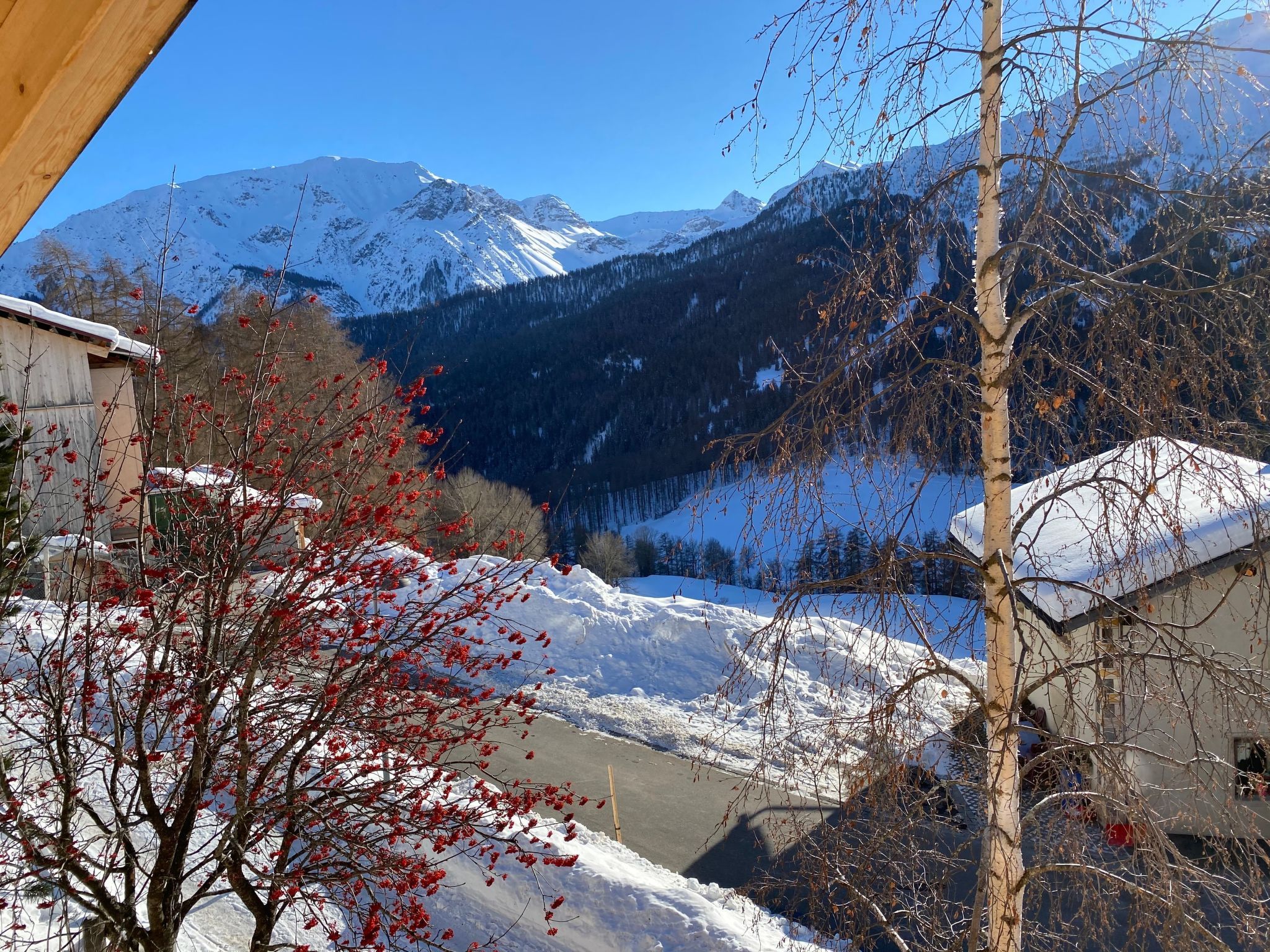 A snowy mountain landscape with a clear sky, a building with a sloped roof, and a tree with red leaves in the foreground.