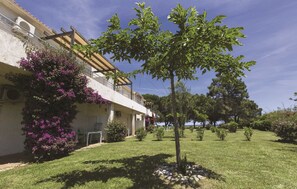 A building with a balcony, a tree, and a grassy area with shrubs. - Residence Odalys Acqua Linda (Poggio-Mezzana)
