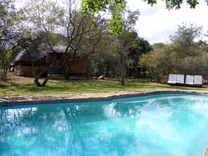 Pool - Shayamoya Tiger Fishing & Game Lodge (Pongola)