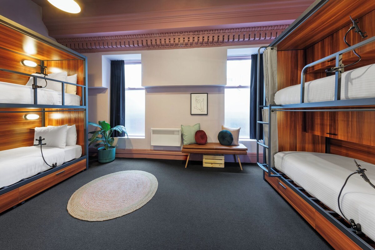 A room with bunk beds, a small bench, a potted plant, and a framed picture on the wall.