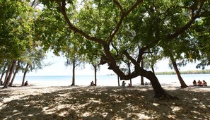A beach with trees providing shade, a sandy beach, and a calm body of water in the background. - Veranda Tamarin Hotel & Spa (Tamarin)