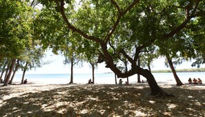Buceo, windsurf, vóleibol de playa, surf