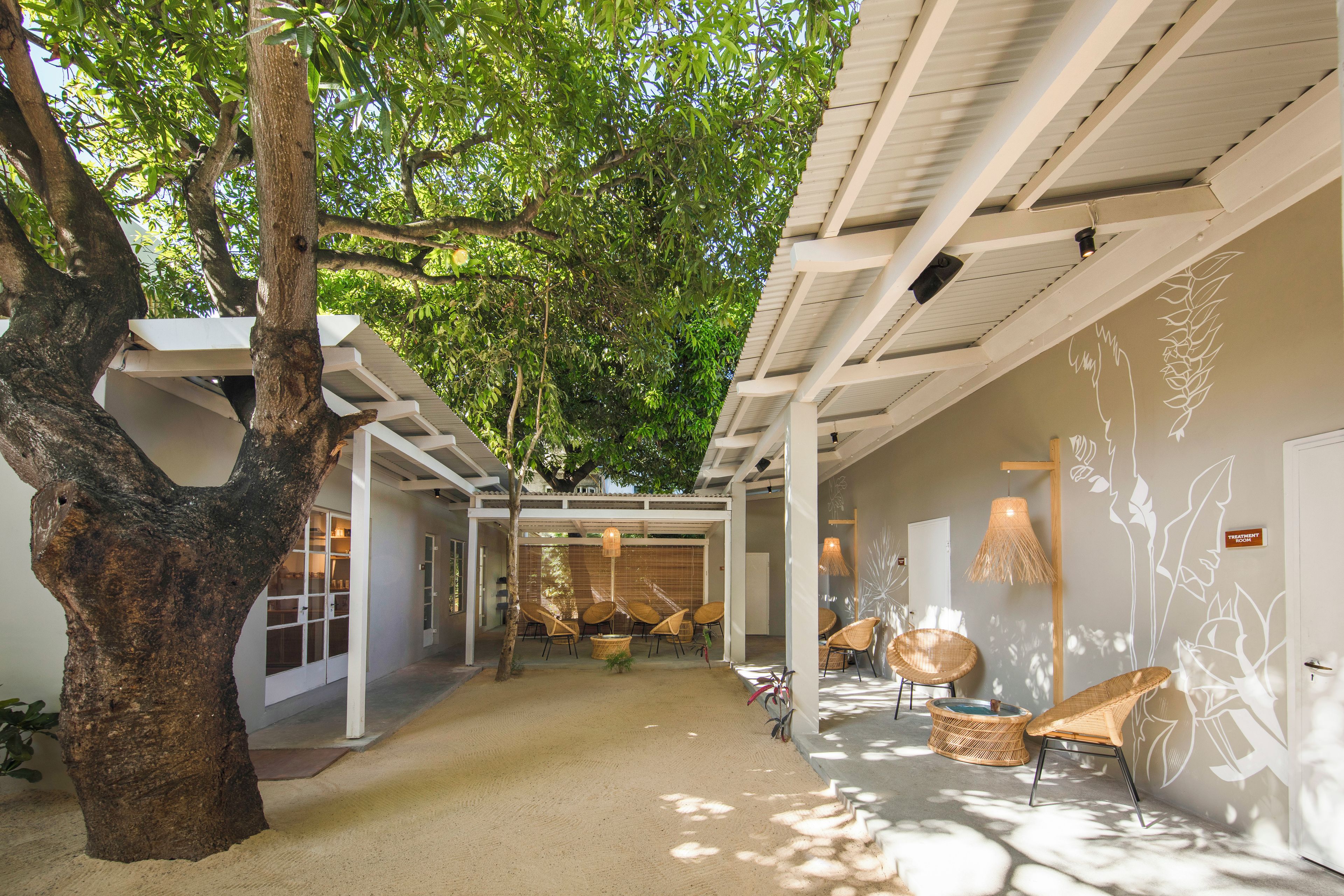 A covered outdoor area with a large tree, seating, and a wall with a plant design.