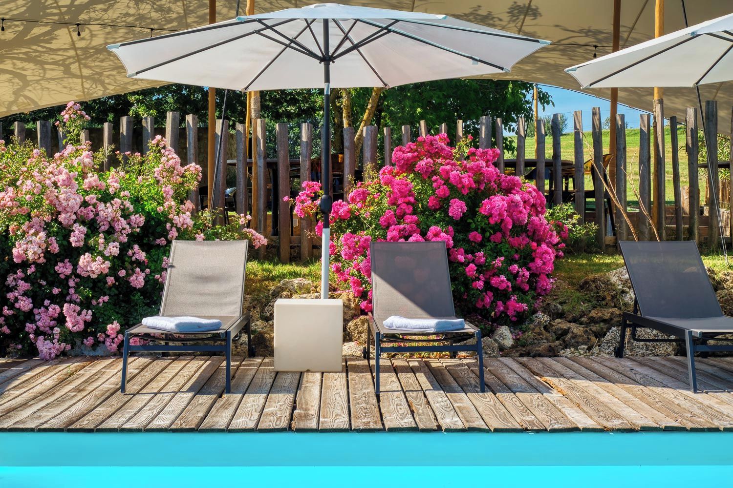 A poolside area with lounge chairs and umbrellas, surrounded by flowering bushes.