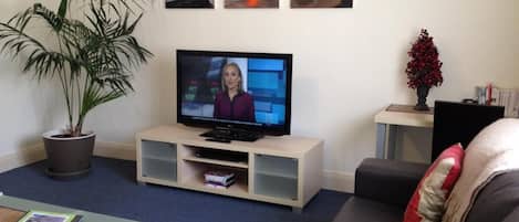 A living room with a television, a potted plant, a sofa, and a small table with a magazine.
