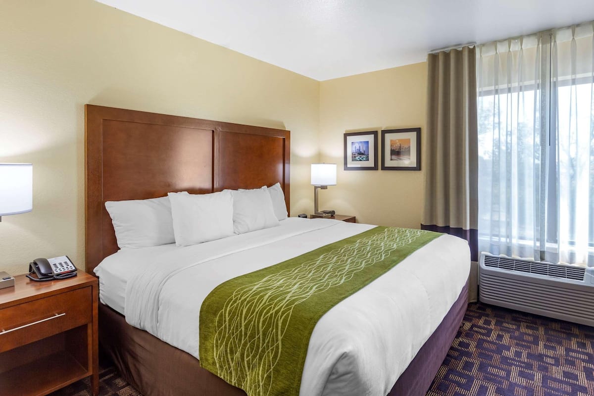 A hotel room with a large bed, a bedside table with a phone, a lamp, and a picture on the wall.