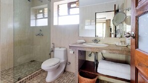A bathroom with a glass-enclosed shower, a toilet, a sink with a mirror, and a wooden door. - De Mandarin Beach Resort Suites & Villas Goa (Candolim)