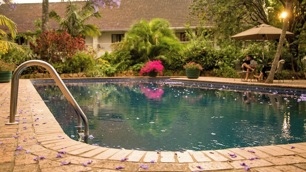 A swimming pool with a brick edge, surrounded by lush greenery and a building in the background.