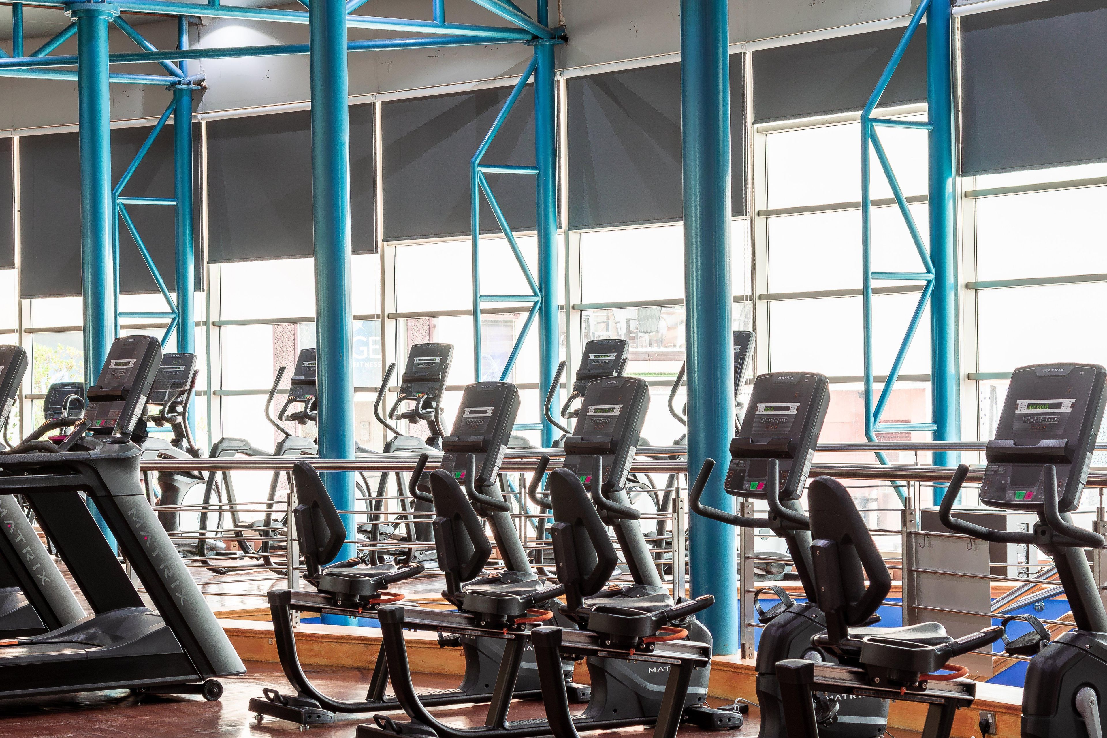 A gym with treadmills and elliptical machines, large windows, and blue structural beams.