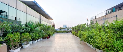 Terassi/patio