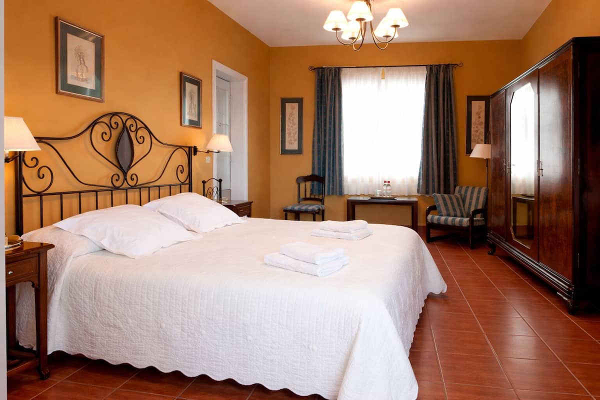 Una habitación de hotel con una cama grande, una silla, un escritorio y un armario.