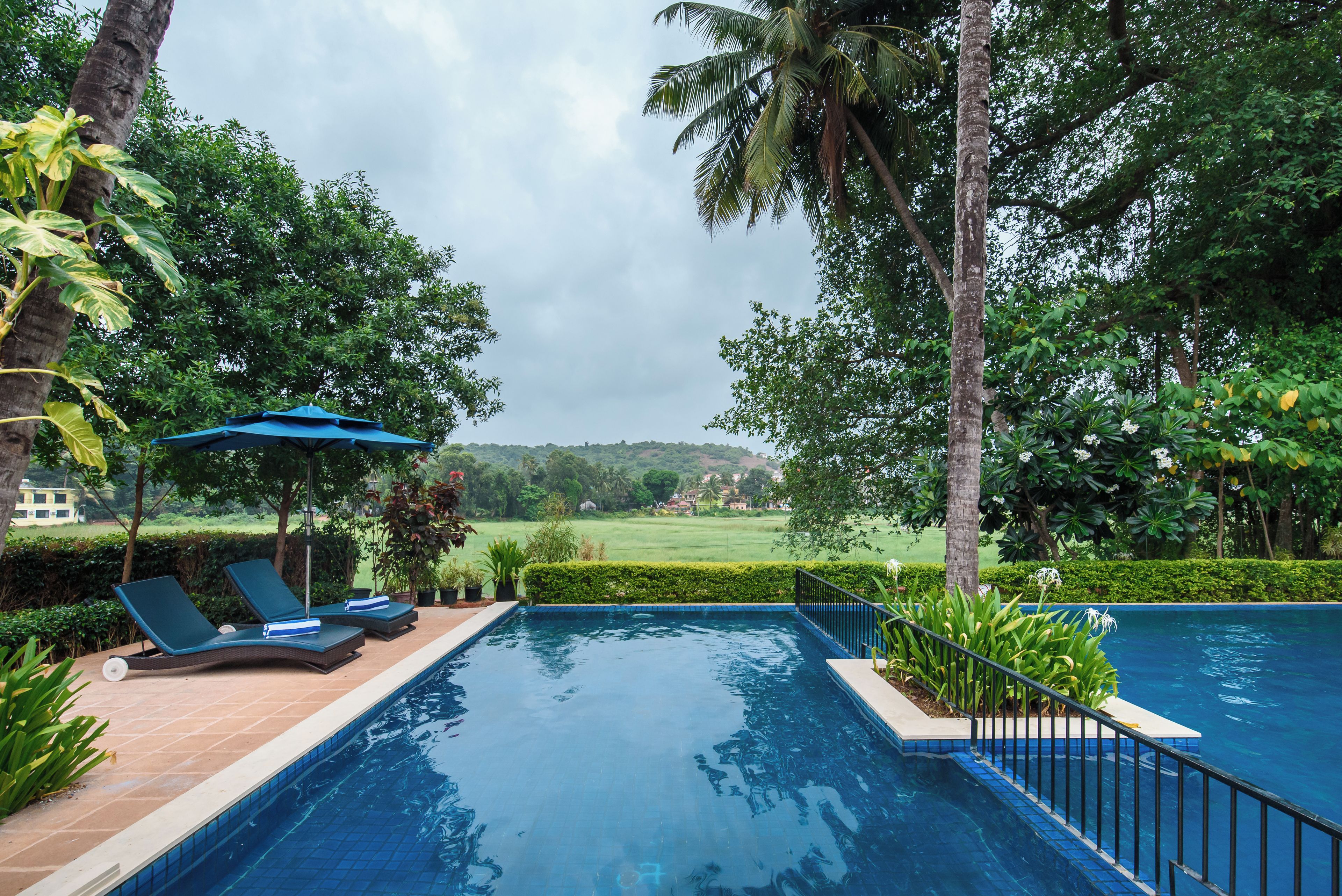 A swimming pool with lounge chairs and a view of a green landscape.