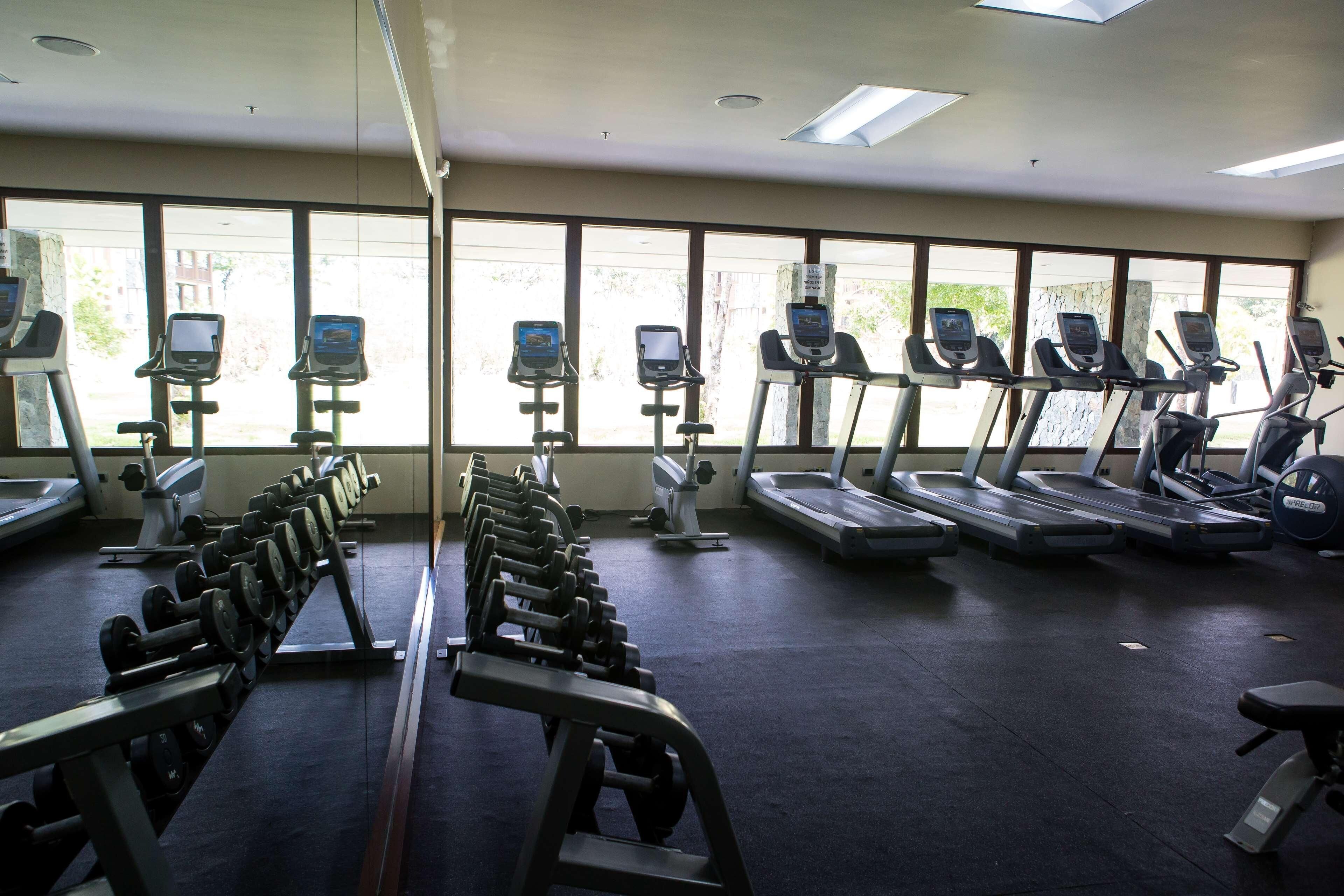 A gym with treadmills, ellipticals, and dumbbells.